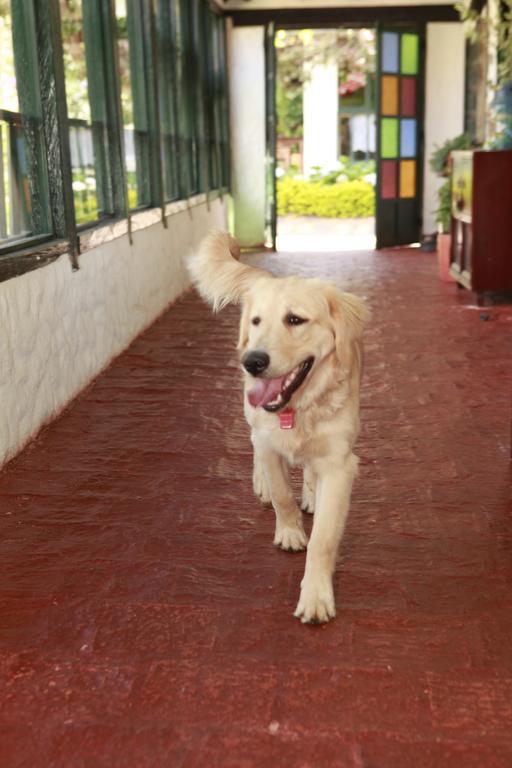 Casa San Nicolas บียาเดเลย์บา ภายนอก รูปภาพ