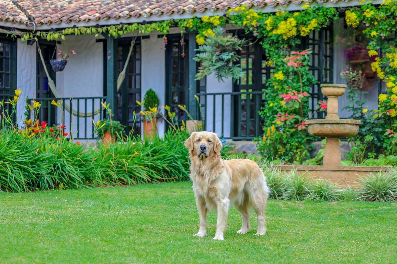 Casa San Nicolas บียาเดเลย์บา ภายนอก รูปภาพ